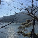 담양호국민관광지 이미지