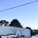 (기장) 왕큰 베어리스타가 반겨주는 스타벅스 기장임랑원(林浪園)점 솔직후기
