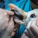 ㈜성원메디칼 이미지