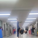 마루한 태권도장 이미지