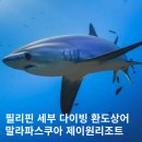 드래곤베이커리 | 필리핀 말라파스쿠아 다이빙 세부 환도상어 드래곤제이원 리조트 후기