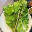 육공오 이미지