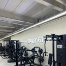 데일리 핏 이미지