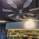 모듬내길 | 명지 횟집 신선함 끝판왕 흰수염고래 모듬회 솔직후기