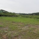 장안읍반룡리-80 이미지