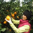 이슬농장 이미지