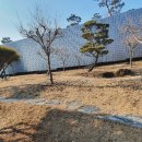 자연장지 이미지