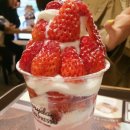 요거프레소 이미지