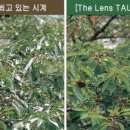 밝은눈안경원 이미지