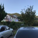 천지식당 이미지