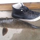 황청낚시터 이미지