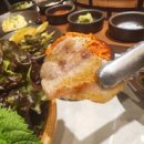 돼지도온