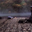 GS25 부평갈산 이미지