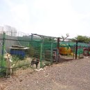 대정문화체육센터 이미지