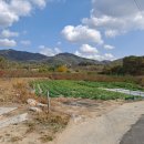 조항농로 이미지