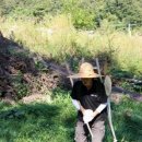 월강산하촌 이미지