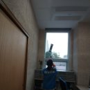 클린스쿨울산 - 북구 송정동 | 클린스쿨울산