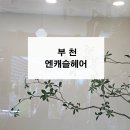 엔캐슬(Ncastle) 네이버블로그