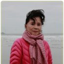 노나메기 이미지