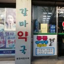 갈마약국 이미지