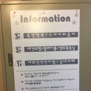 애견스토리