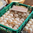 비아중앙로 이미지