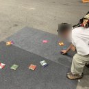 한여름밤의 돗자리 야외 극장 | 2023 대전 와인엑스포 다녀온 후기 / 물품 짐보관 팁