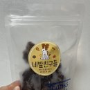 네발친구들 이미지