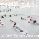 슬아트 발레 무용학원 이미지