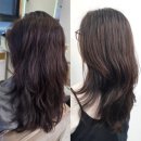 [​의정부 민락동] 레이어드C컬펌 잘하는 미용실에서 똥손도 가능한 인생 머리 찾기! (With. 새치염색)!