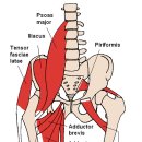 삼성제일한의원 이미지
