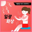 일광약국 이미지