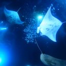 목마르지 이미지