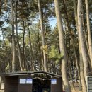 장항오토캠핑장 이미지