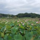 목원가든 이미지