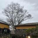 스테이-곁 | <제주도 애월/숙소> 자쿠지 독채 숙소 고양이와 함께 지내는 감성숙소 애월조끄띠 스테이곁 C동 후기