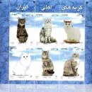 네로는 검은고양이 이미지