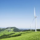 안내목장2 이미지