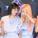 꽁냥꽁냥 이미지