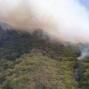 안동시 풍천면 산불이 강풍으로 되살아나다 이미지