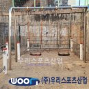 산호세탁 네이버블로그