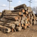 (주)영일우드 이미지