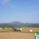 부산면사무소 이미지