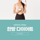 H-024 | 종로 부분비만 관리, 나이가 들수록 뱃살이 잘 빠지지 않는 이유