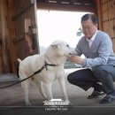 토리 이미지