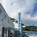 하선약국 | 울릉도 여행:: 독도 입도 및 배 선회 후기(멀미약 필수)