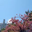 무지개삼성약국 이미지