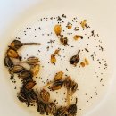 콩알노트(우단동자꽃 십자수) 1권 이미지