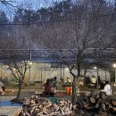 동명농장2 이미지