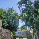 영도아일랜드 | 다낭 더 블로썸 리조트 아일랜드 숙박 후기